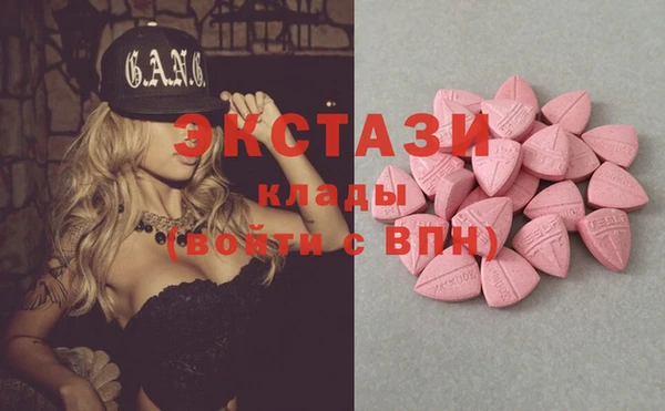 ECSTASY Белокуриха