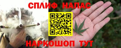 ГАЛЛЮЦИНОГЕННЫЕ ГРИБЫ Гусев