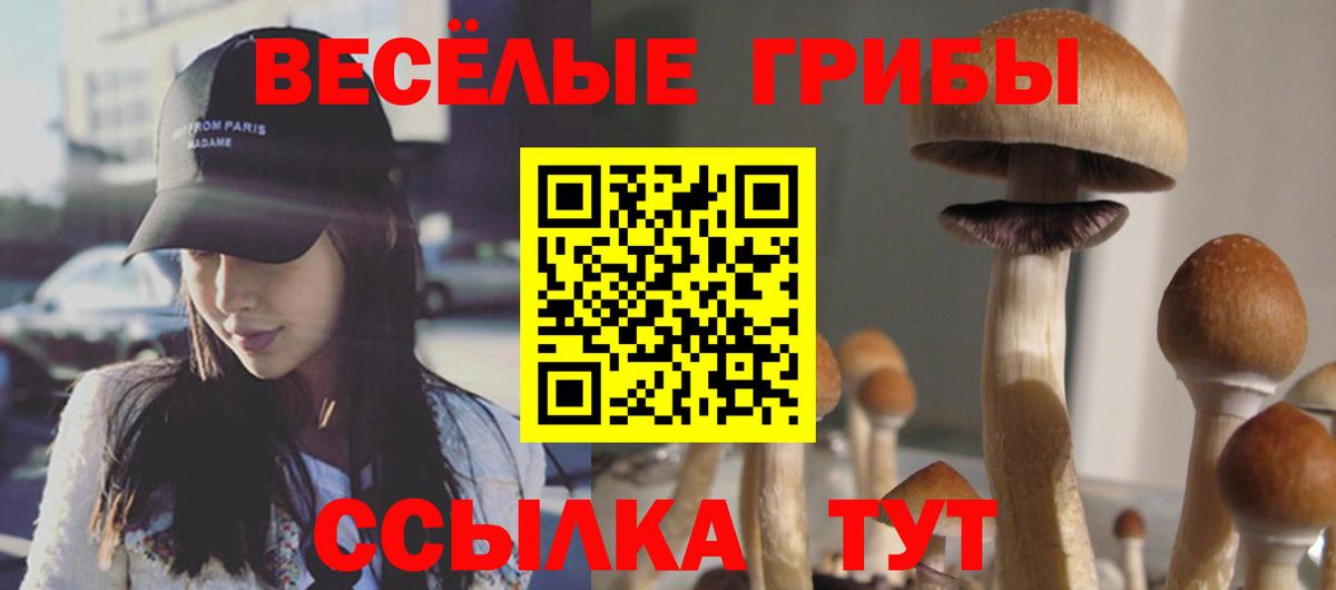 Галлюциногенные грибы прущие грибы Благовещенск